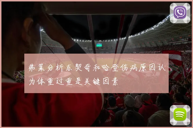 弗莱分析东契奇和哈登伤病原因认为体重过重是关键因素