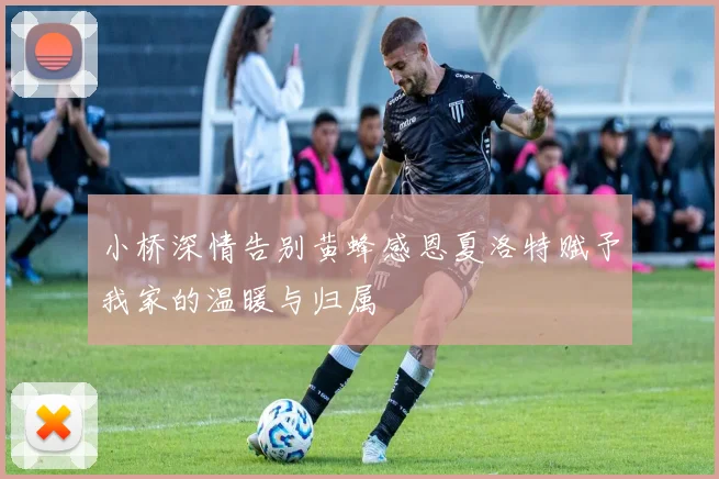 小桥深情告别黄蜂感恩夏洛特赋予我家的温暖与归属